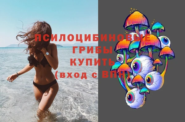 мдпв Абдулино