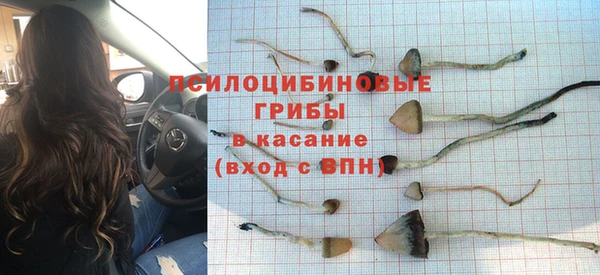каннабис Абаза